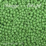 Rocaille 9/0 Czech seed beads - Opaque-Shamrock  53210 - 50 gram