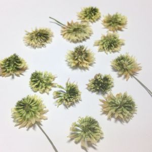 Kwiaty suszone  KONICZYNA (śr.1-2cm)   8 szt - 1 op