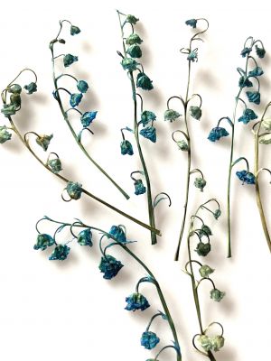 Kwiaty suszone KONWALIA barwiona 3D (ok 5-9 cm) niebieski  4 szt - 1 op