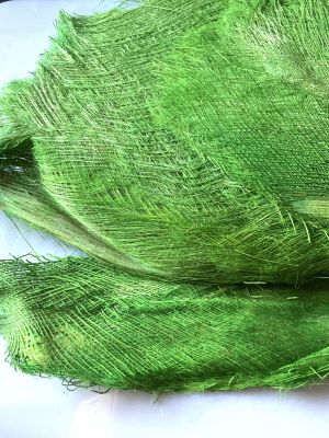 Kora  palmowa , zielony - 100 gram