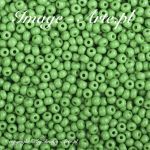 Koraliki Rocaille 10/0 Czech seed beads - Opaque-Shamrock  53210 - 50 gram