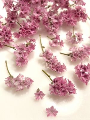 kwiaty suszone , różowe  10 pęczków  pęcz: 1- 2,5 cm - 1 op