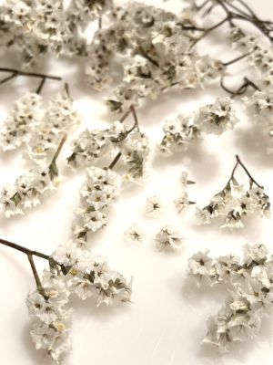 kwiaty suszone , 3D  white  10 pęczków  pęcz: 1- 2,5 cm - 1 op