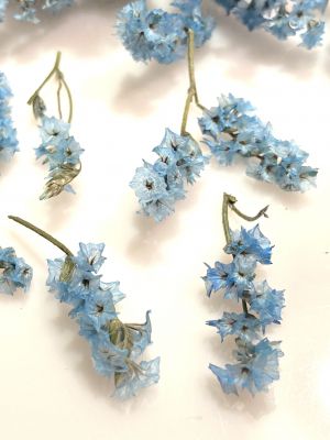 kwiaty suszone , 3D  blue  10 pęczków  pęcz: 1- 2,5 cm - 1 op