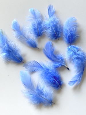 Piórko 1,5 -9 cm blue  - 4 szt - 1 op