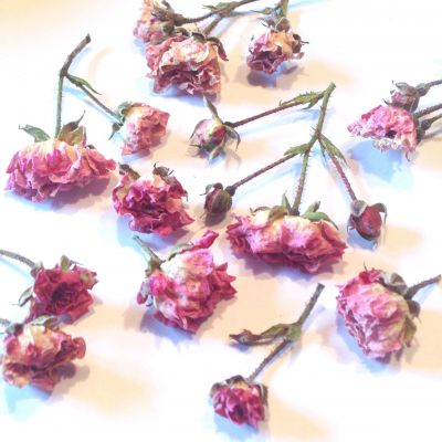 Kwiaty suszone róże miniaturowe różowe (ok.1-1.5 cm) na łodyżkach  6 szt - 1 op