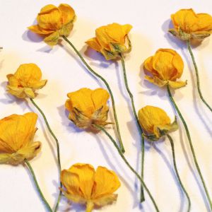 Kwiatki suszone YELLOW 3D ( główka 0,5-1,5 cm ) 8 szt - 1 op