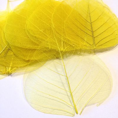 Liście naturalne preparowane 4-8x6-10 cm yellow - 2 szt