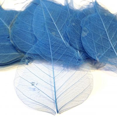 Liście naturalne preparowane 4-8x6-10 cm blue - 2 szt