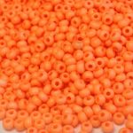 Rocail 9/0 Frosted Neon Orange 10 gram