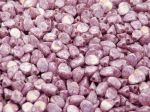Pinch Beads 5x3mm Chalk White Teracota Purple 15496- 5 g (ok.60 szt.)
