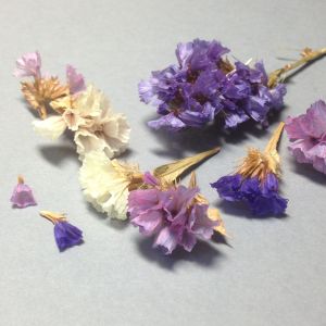 Kwiatki suszone COLOR MIX  3D (ok.5-8x4-10mm pojedyńczy) 20 kępków - 1 op