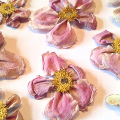 Kwiatki susz róż/fiolet  ( 2,5 - 5 cm) 2 szt - 1 op