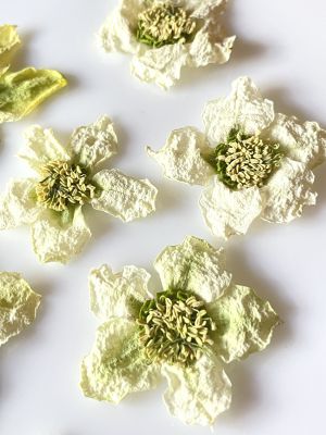 Kwiat suszony Ciemiernik 3D  (ok 4.5 cm wys 0.5 - 1.5 cm) white/green - 1 szt