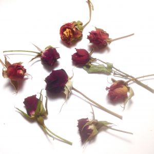 Kwiaty suszone róże średnie  Mix czerwony  (główki ok. 2-4,5 cm)  5 szt - 1 op