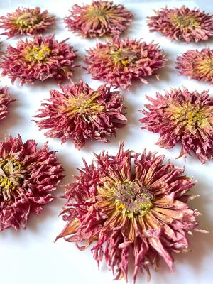 Kwiaty suszone DALIA 3D śr. 5 - 8,5 x1 cm PINK / RUST - 1 szt