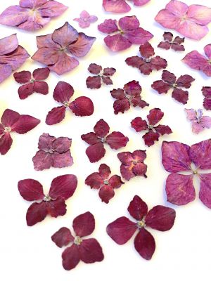Kwiaty suszone mix color różowy - ok 0,8 -2,5cm - 10 - 1 op