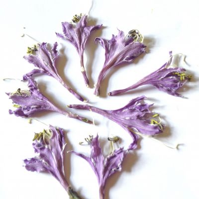 Kwiatki suszone violet  (ok.3-4x1,5-2 cm) 5 szt  - 1 op