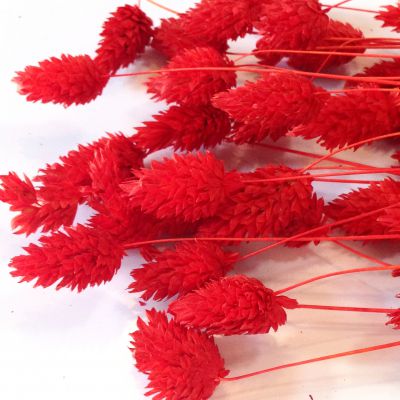 Trawa KANAR barwiona 3D 5-10 cm (kłos 1,5-3 cm )  RED - 4 gałązki - 1 op