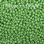 Koraliki Rocaille 11/0 Czech seed beads - Opaque-Shamrock  53210 - 10 gram