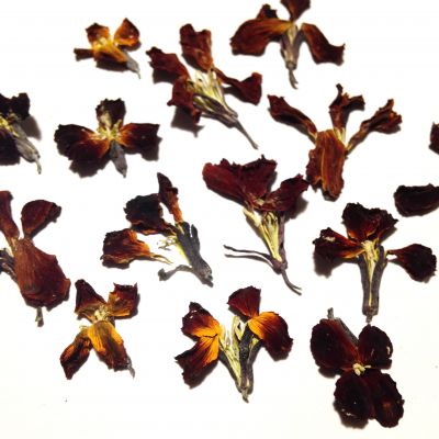Kwiaty suszone  0.8-1,9 cm red/brown/yellow 10 szt - 1 op