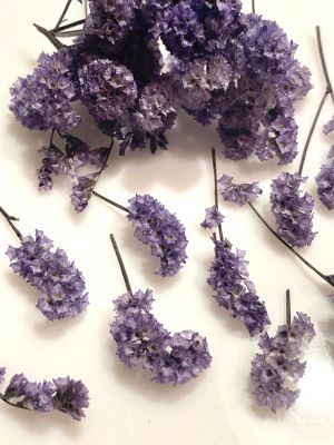 kwiaty suszone , 3D  violet  10 pęczków  pęcz: 1- 2,5 cm - 1 op
