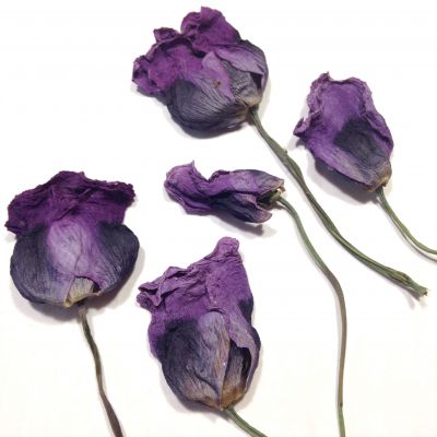 MAK fioletowy kwiat 4-6 x 2,5-4 cm 2 szt - 1 op