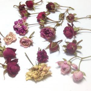 Kwiatki suszone róże miniaturowe MIX COLOR  (ok.1-1.5 cm) na łodyżkach  12 szt - 1 op