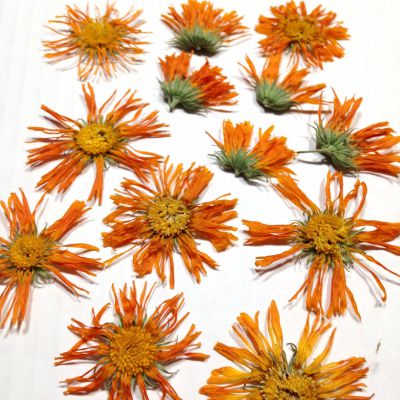 Nagietki suszone kwiat 2,5-4=5 cm orange - 4 szt - 1 op