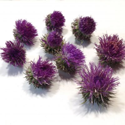 Kwiaty suszone  OSET 3D (średn. 1,5-3cm ) violet  6 szt - 1 op