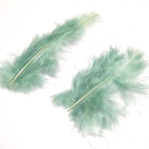 Feather 10 -13 cm pistachio  - 1 szt