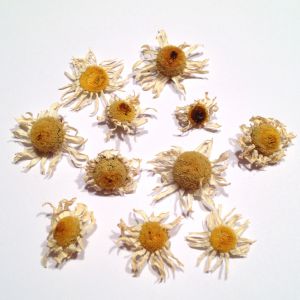 Kwiat rumianku   3D (1,5-3cm wys 0,5-1,5 cm)  8 szt - 1 op
