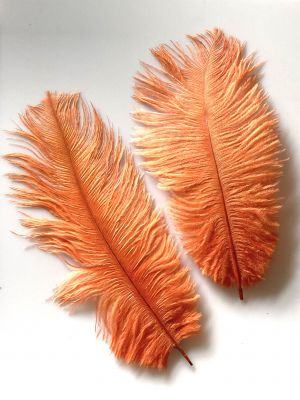Pióro STRUSIE 20-25 cm  lt. orange  - 1 szt