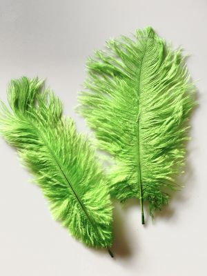 Pióro STRUSIE 20-25 cm  lt. green  - 1 szt
