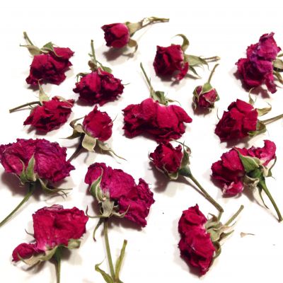 Róże miniaturowe ciemny róż/czerwony  ( kwiat ok.1-1.5 cm) na łodyżkach  6 szt - 1 op