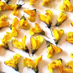Kwiatki susz. żółte  3D ( 1,5 - 2,5 cm wys do 0,8 mm) 10 szt - 1 op