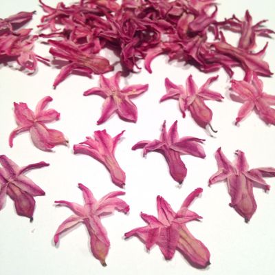 Kwiaty suszone  1,5-2,2x1.5-3 cm pink   6 szt - 1 op