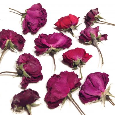 Róża czerwona gł 2-4x1-3 cm , wys. 1-1,8 cm - mix czerwony  4 szt - 1 op