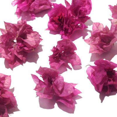 Bugenwilla Okazała 3D - podkwiatki pęczki  - 1,5-4,5 x 2,5-6  cm  MIX RÓŻOWY  3 szt  - 1 op
