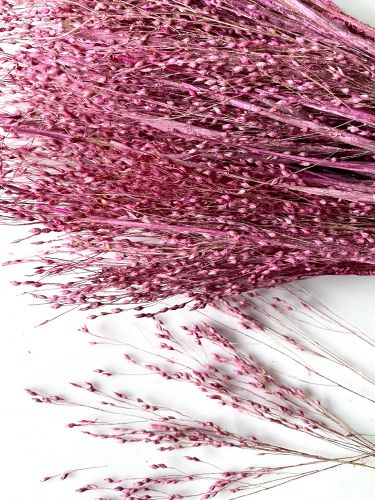 Trawa ozdobna, barwiona ,8-15 cm (nasiona ok. 5mm) z brokatem ,różowy - 5 gałązek - 1 op