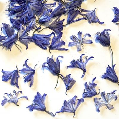 Kwiaty suszone Blue 1-2 cm 6 szt - 1 op