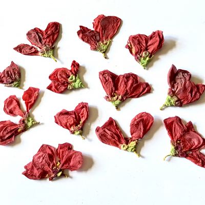 Kwiaty suszone Dark Red  1-2 cm 6 szt - 1 op