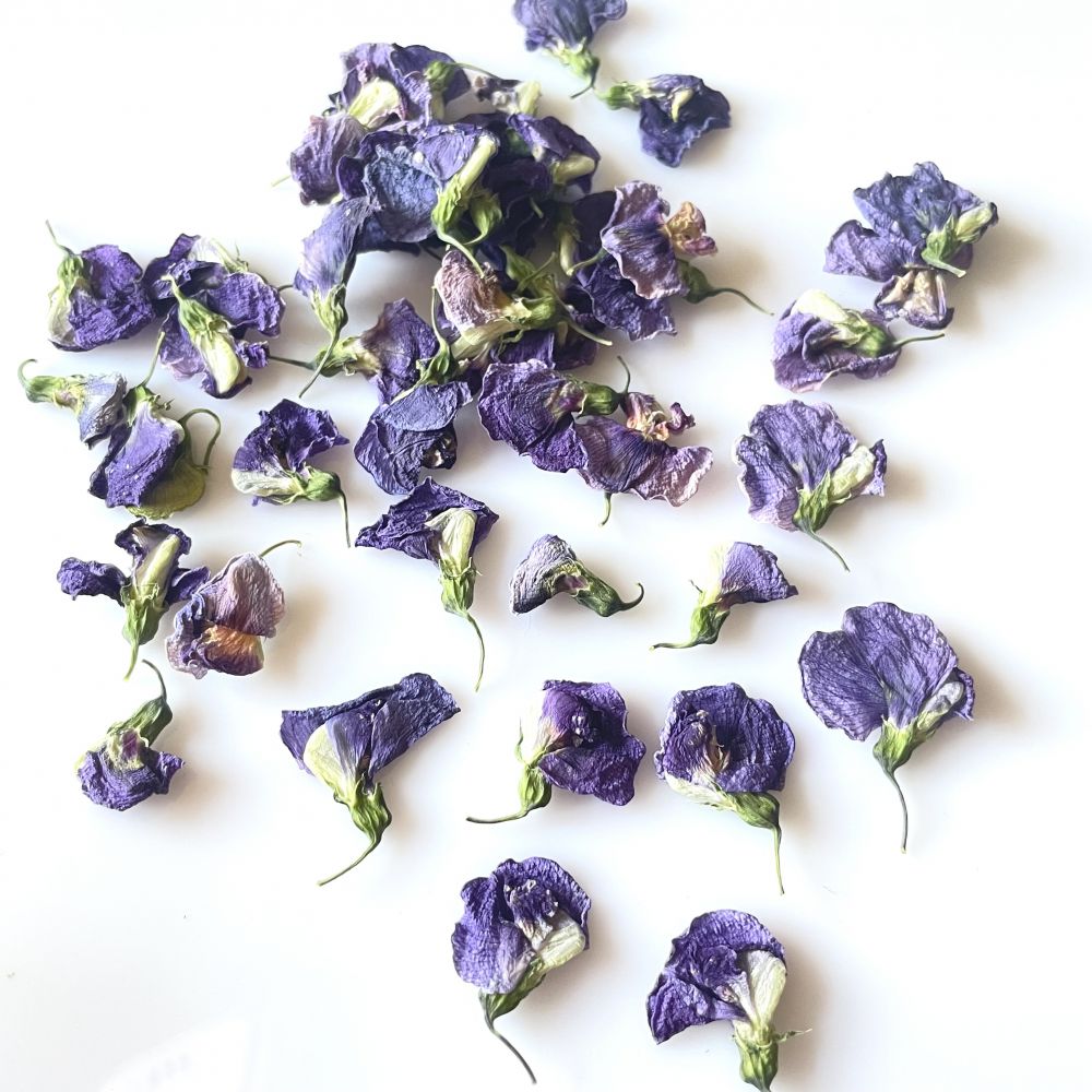kwiaty suszone - groszek 1-2x101,5 - fiolet - 6 szt - 1 op